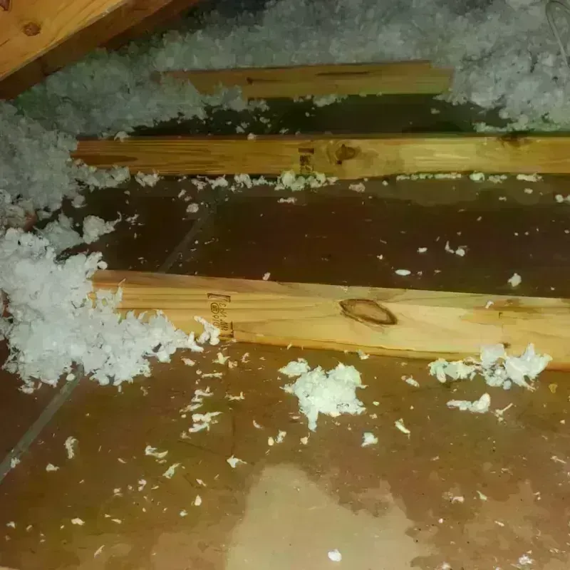 Attic Water Damage in Fairmont, WV