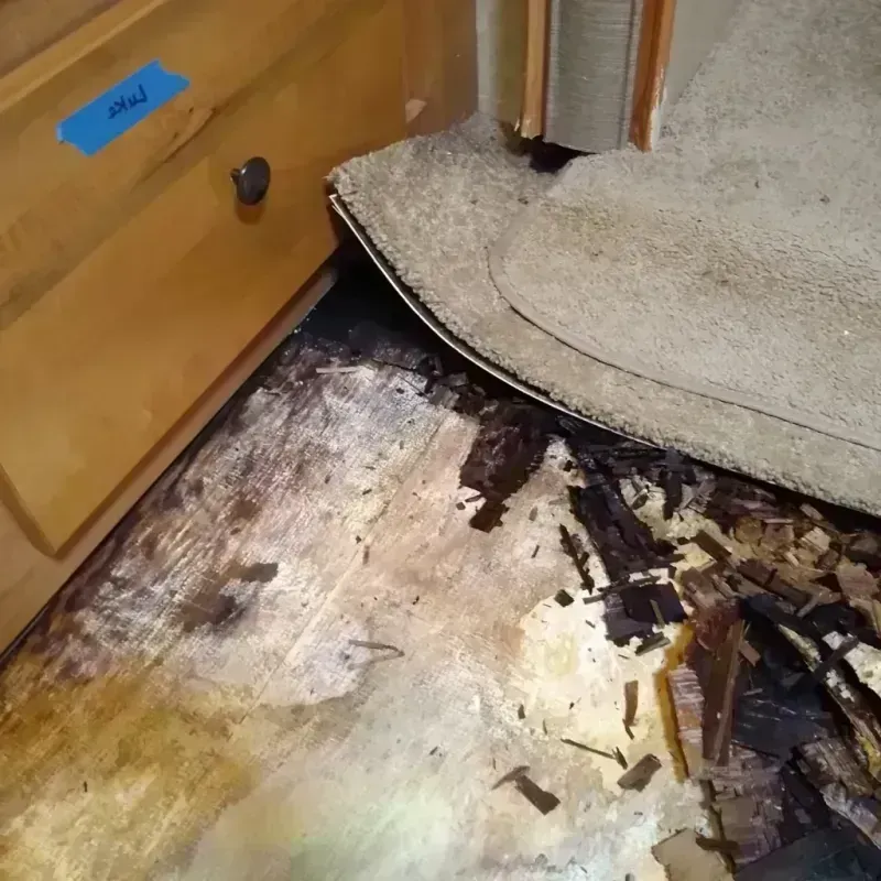 Wood Floor Water Damage in Fairmont, WV